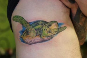 pedro turtle
